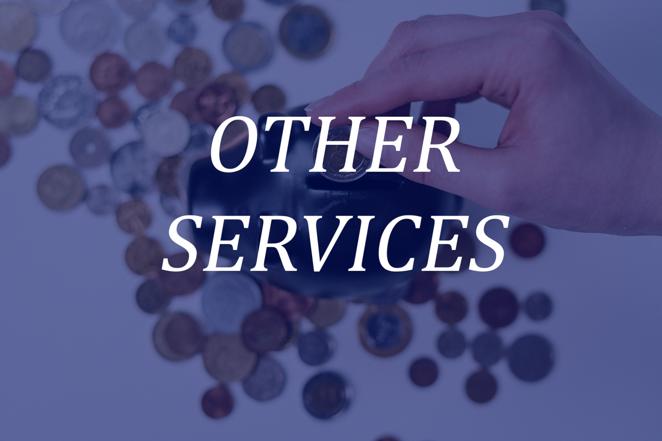 Other Services Other Services
